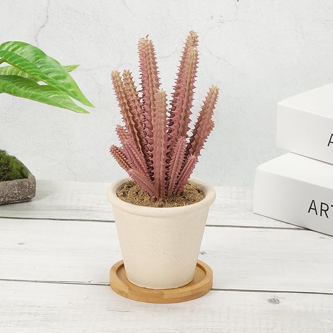 PATIKIL Bamboo Wood Saucer, 2 Pack 3 Inch Round Wooden Plant Drainage Tray Bonsai Plants Saucer Succulent Pot for Home Balcony
