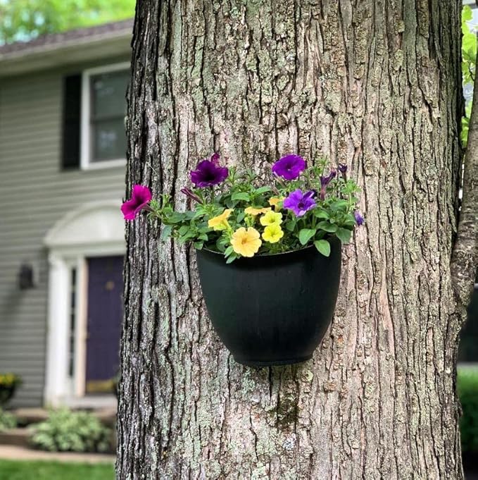 The HC Companies 8 Inch Garden Wall Planter - Plastic Hanging Plant Pot for Indoor Outdoor Flowers, Herbs, Cappuccino (Pack of 2)