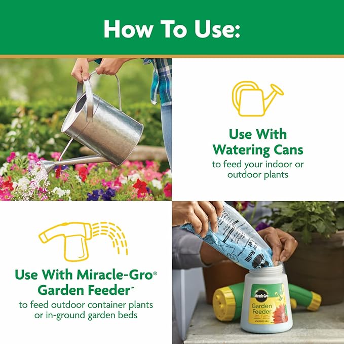 Miracle-Gro Water Soluble All Purpose Plant Food, Plant Fertilizer for Indoor or Outdoor Plants, Roses, Flowers, Houseplants, Vegetables and Trees, 6.25 lb.