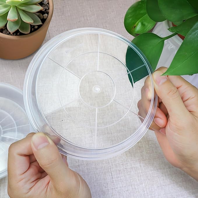 6 Pack Clear Plant Saucer, Durable Plant Drip Trays Saucers for Pots, No Holes Water Catcher Trays for Indoor Outdoor Planter, Sturdy Base Plate(6", Clear)
