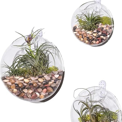 10 lbs Decorative Rocks for Planters and Outdoor Landscaping, 1"- 1 1/2", Pebbles for Indoor Plants, Vases, Terrarium, Polished Stones for Garden Decor