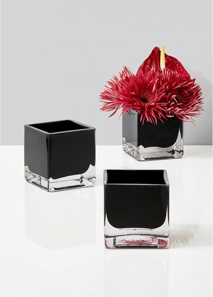 WGV Cube Glass Vase, Candle Holder, 6"x6"x6", Black Elegant Floral Accent Container Planter Terrarium Storage for Wedding Party Home Decor, 1 Piece (VCB0006BK)