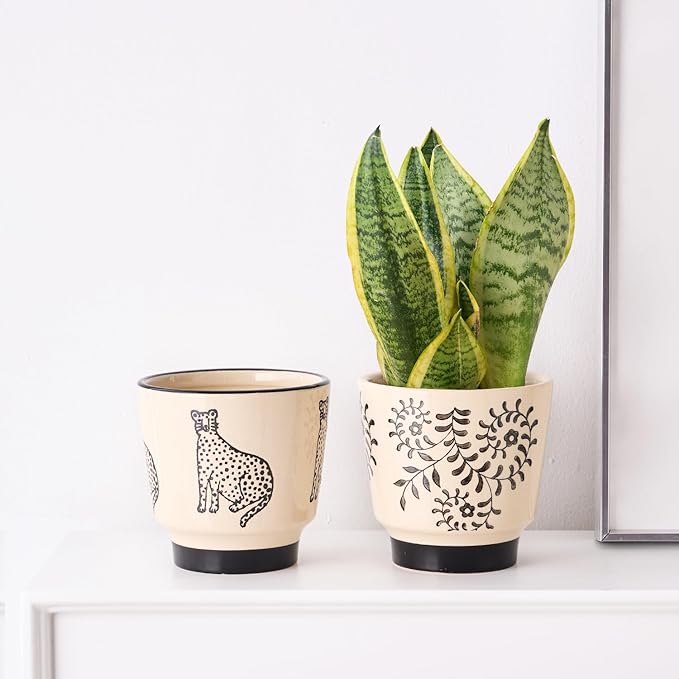 5 Inch Ceramic Planters for Indoor Plants, Funny Small Plant Pots with Drainage, Unique Decorative Cute Flower Pot Panthers Round Flowerpots