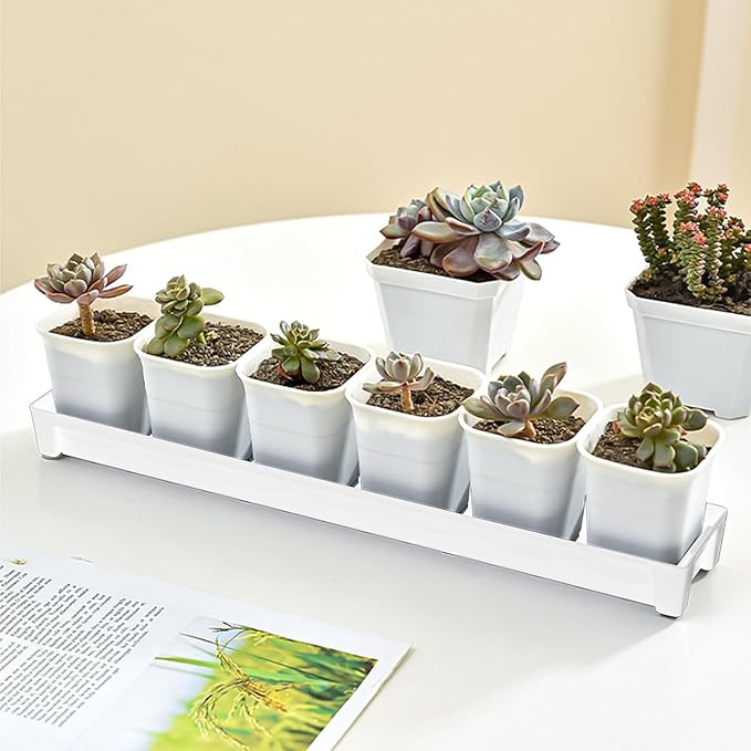 5 PCS Plastic Plant Tray Saucer, Rectangular Windowsill Plant Drainage Stand for Indoors Outdoor, White Water Drip Tray for Succulent Pot Planter, 16 x 4.5 x 1.6 Inch