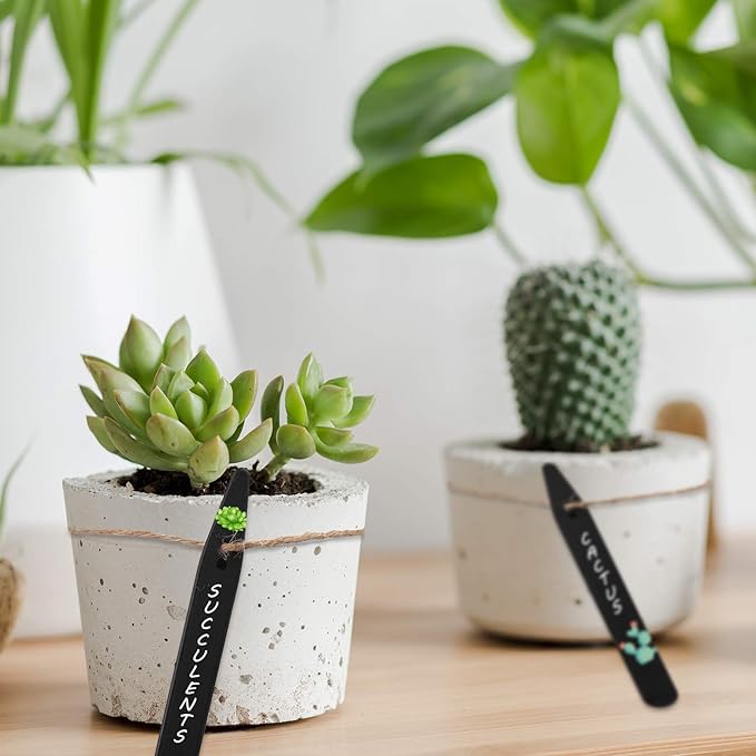 Whaline 200Pcs Thick Plastic Plant Label Garden Labels Black Waterproof Garden Stake Sign Tags Garden Markers for Outdoor Seedlings Potted Flowers with 2 Marker Pen and A Roll of Twine (15 cm)