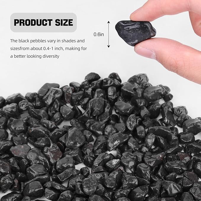 Natural Black River Rocks,3/5 Pebbles for Indoor Plants,Succulent and Cactus Gravel,Aquariums Gravel,Rocks for Indoor Plants,Fish Tank,Vases,Terrarium 1 LB