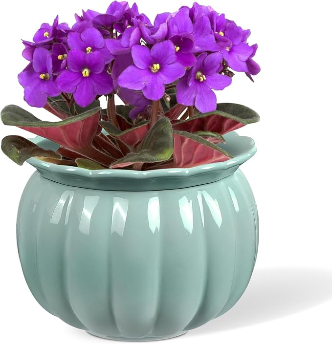African Violet Pots, Self-Watering Ceramic Planter for Indoor Plants – 6 Inch Pot for Succulents, Herbs & Small Houseplants, Decorative Self-Watering Pot for Home & Office, Blue