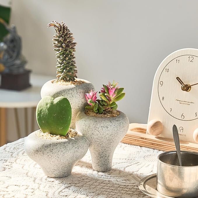 Gray Granite Textures 3-in-1 Small Succulent Pots, Mini Indoor Succulent Planters, Cute Cactus Bonsai Flowers Pots for Plants, Garden Mini Cactus Plant Pot Modern Decorative, Gift, Breathable Planter