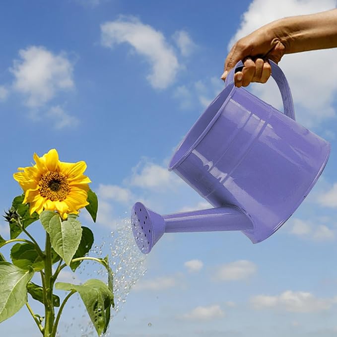 Watering Can Gardening Tool Accessories, Sprinkling Can 1L Metal Flower Garden Watering Can for Outdoor Indoor Plants Lawn Garden (Purple)