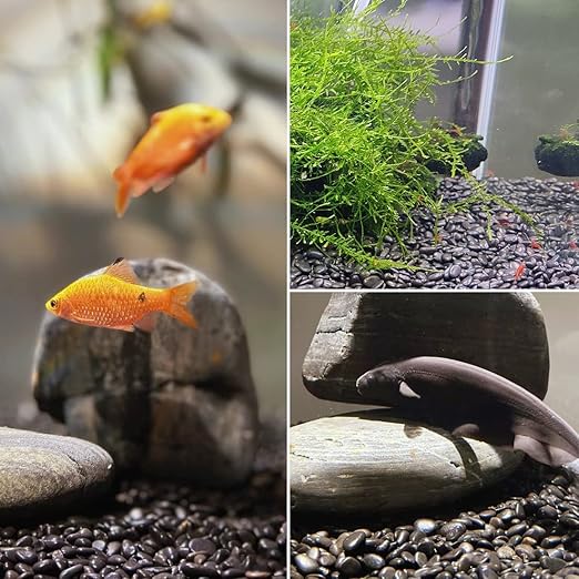 1-2.2 Inch Natural Polished Black River Rocks, 20LB Black Polished Pebbles for Garden Landscaping. Fish Tank Decorative River Rocks, Vase Filling Pebbles, Outdoor Decorative River Rocks