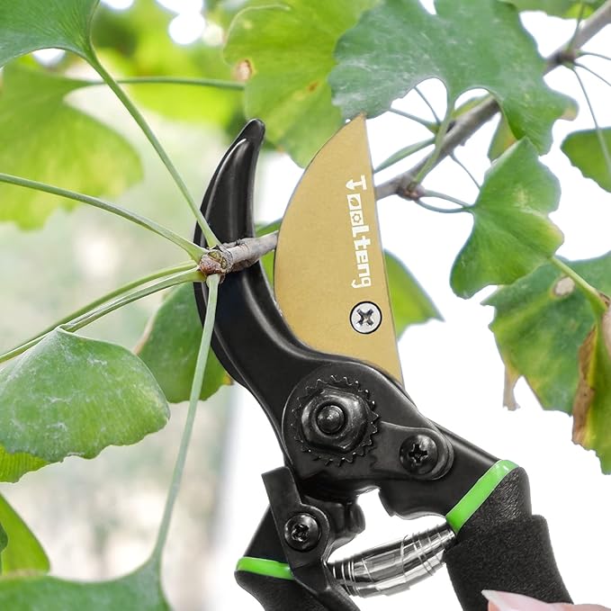 Premium Titanium Bypass Pruning Shears, Heavy Duty Ultra Sharp Garden Scissors, Professional Hand Pruners, Tree Trimmers, Hedge Clippers, Garden Shears and Rose Clippers Tools for Gardening