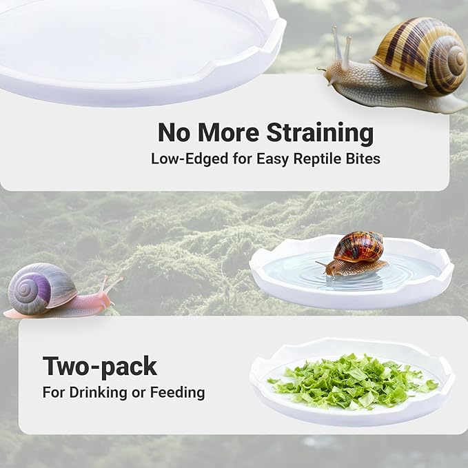 2 Pack Snail Food and Water Bowl，atural Design Food Bowl for Pet Snails, Garden Snails Pet Land Snail Supplies(White)