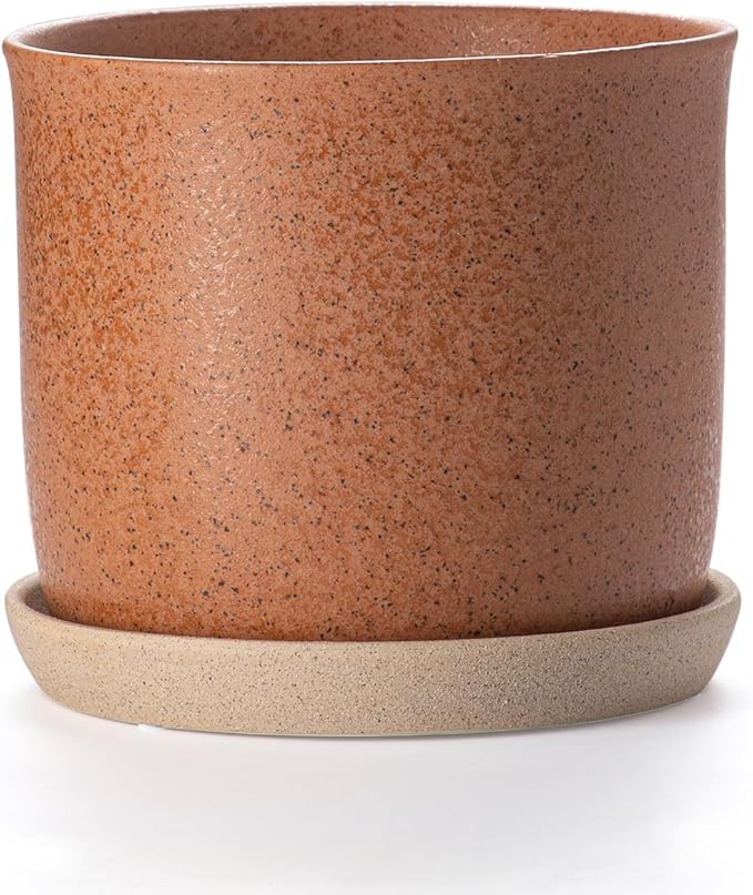 8 Inch Plant Pot: Ceramic Planter with Drainage Hole & Saucer - Flowerpot for Indoor & Outdoor Plants with Separate Tray for Home & Office - Terracotta
