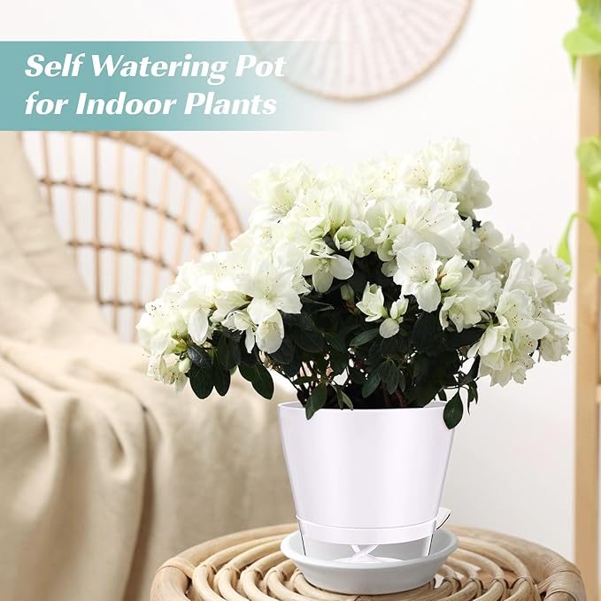 12 Pack 6 Inch Self Watering Plant Pot African Violet Pot Self Watering Planters Indoor Outdoor Flower Pots Planters with Visual Reservoir and Drainage Hole, Bright Colors