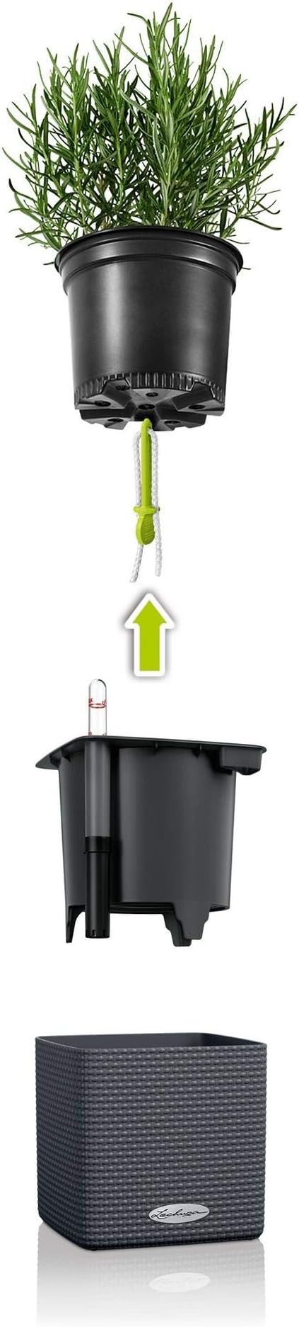 Lechuza 13580 Cube Color 16 Self-Watering Planter for Indoor and Outdoor Use, 7" x 7" x 6", White