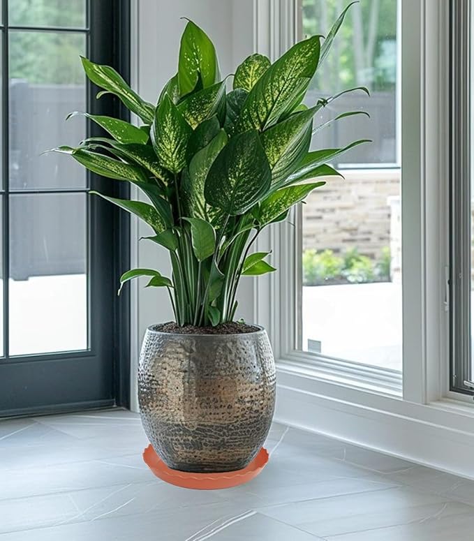 2 Pack Plant Saucer 10 inch, Heavy Duty Plastic Plant Saucers, Durable Plant Tray for Pots, Flower Saucers for Indoors, Plant Pot Saucers, Trays for Planter (Terracotta)
