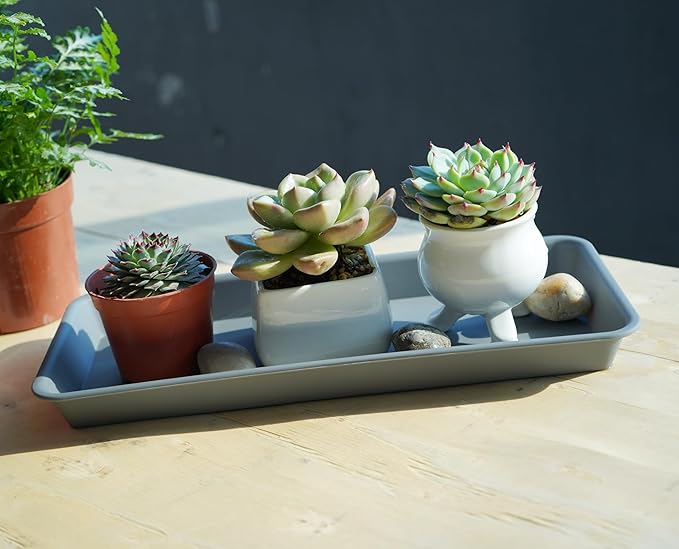 2 Pack of Plastic Plant Tray Saucer Rectangular, Plant Trays Saucers for Indoors Outdoor, Plant Water Drip Tray for Flower Pot Planter, Windowsill Plant Tray (6.5 X 13 Inch, Gray)
