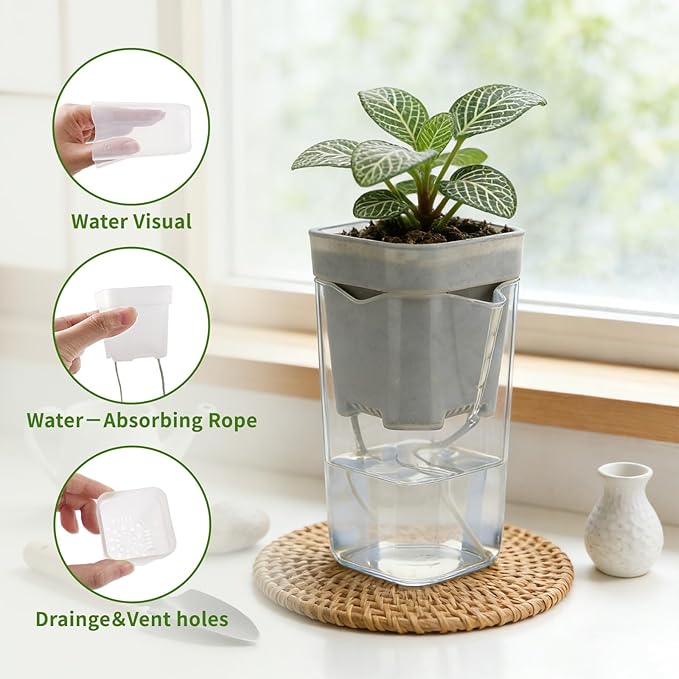 20 Pack 2” Mini Self Watering Pots for Indoor Plants, Small Clear Plastic Planters with Water Level Indicator & Drainage Holes, Perfect for Alocasia Corm Propagation, Seedling, Cuttings