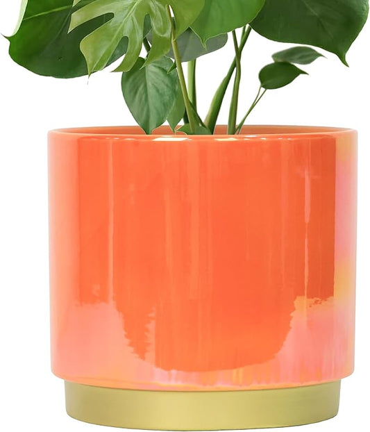 Gepege Peach Indoor Plant Pots for Plants, Large Ceramic Planter with Drainage Hole, 9.6-inch Succulent Orchid Flower Pot - Rainbow Pearl Glaze