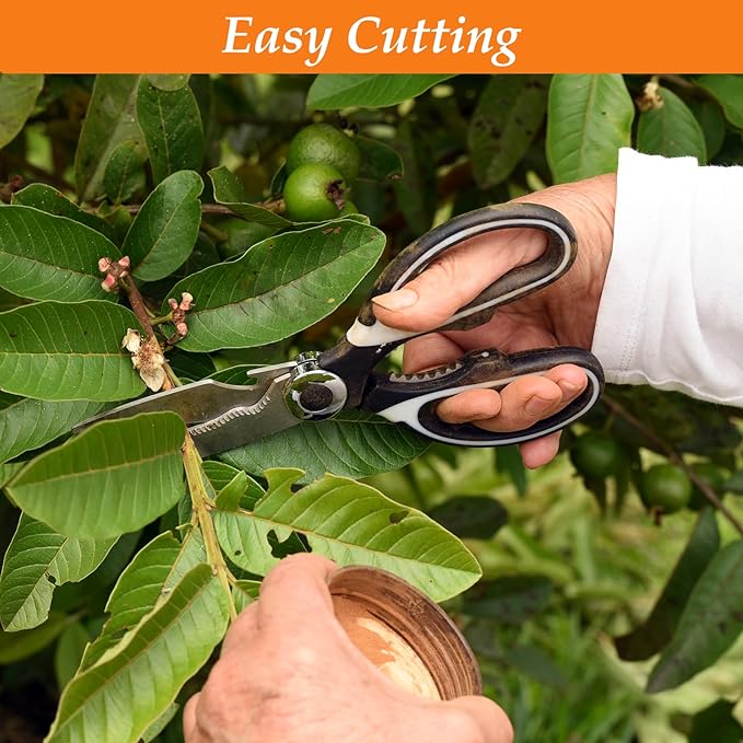 2 Pcs Garden Shears Flower Scissors, Multifunctional Gardening Floral Pruning Shears, Premium Thickened Stainless Steel Floral Scissors for Flower Bar Supplies, Fruits, Plant, Potted Landscapes