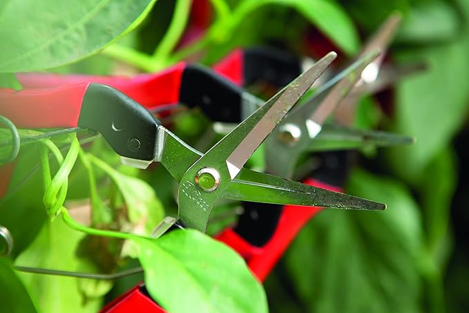 Felco F321 Pruning Snips – 7" Garden Clippers with Curved Blade & Rounded Tip | Pruning Shears for Gardening | Garden Snips and Pruners with Carbon Steel Blade, Sap Groove