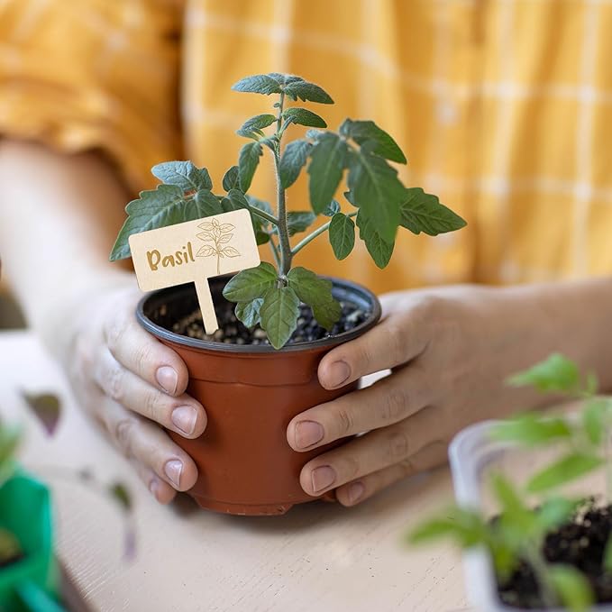 JarThenaAMCS 24Pcs Wooden Plant Label Signs 12 Styles Garden Herb Markers Wood T-Type Tags Reusable Plant Stake Tags with Names for Nursery Indoor Outdoor Garden Decor