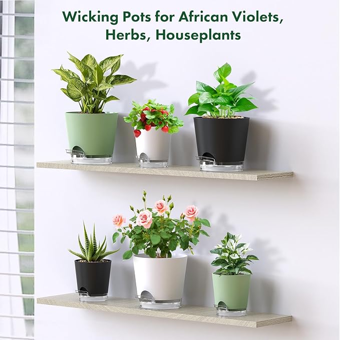 Self Watering Pots Pack of 6 – Different Size 4" to 7" Indoor Plant Pots with Drainage Holes and Clear Reservoir for Visible Water Level, Plastic Wicking Planters for House Plants, Black