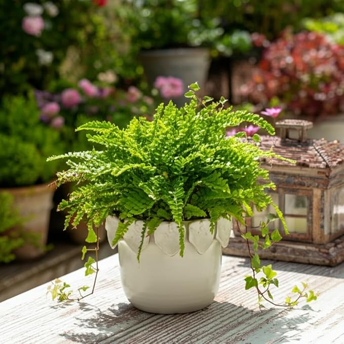 Sagebrook Home Ceramic Unique Decorative Planter for Indoor Greenery