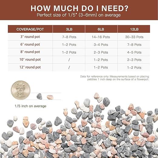 NUPICK 3 lbs Pebbles for Indoor Plants, 1/5 Inch Pea Gravel for Fish Tank, Decorative Rocks for Succulent, Natural River Stones for Vases, Cactus, Landscaping, Bird Bath, Aquarium, Mixed