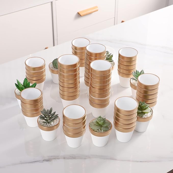 12 PCS Small Mini White Gold Clay Pots with Drainage Holes, 2.5inch Terra Cotta Pot Clay Ceramic Pottery Planter,Succulent Nursery Pot/Cactus Plant Pot,for Indoor/Outdoor Plants,Crafts,Wedding Favor