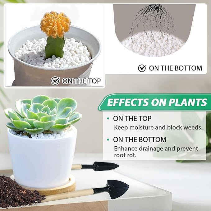 Succulent Rocks for Plants Tiny Pebbles for Planters 11.8LB Pea Gravel Bulk Course Sand Soil Small Decorative Stones for Indoor Bonsai Pots Cactus Top Dressing Aquarium Garden Landscape,White