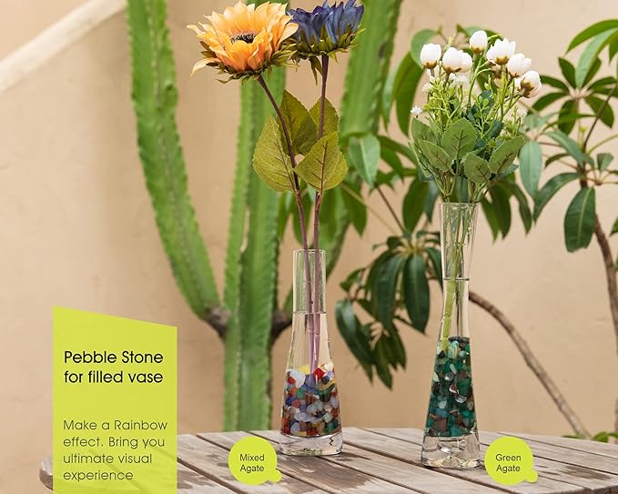 RIFNY Decorative Polished Rocks, 0.3" Gravel Rocks Crushed Crystal for Plant Flower Pots Succulents Cactus Bamboo Plant Vase Filler Aquarium Fish Tank Decorations and DIY Craft (3 LB, Colorful)