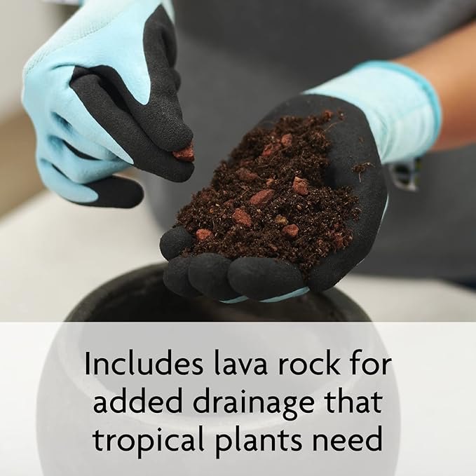 Miracle-Gro Tropical Potting Mix - Growing Media for Tropical Plants Living in Indoor and Outdoor Containers, 6 qt. (4-Pack)