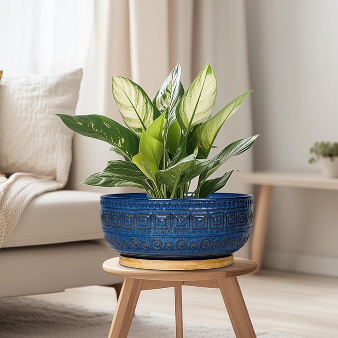 G EPGardening Bonsai Pots 8 Inch - Ceramic Succulent Pots, Round Planter for Indoor Plants, Modern Outdoor Planter with Drainage and Plant Saucer, Boho Home Decor, House Warming Gifts New Home, Blue