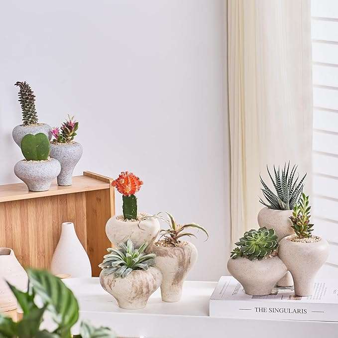 Gray Granite Textures 3-in-1 Small Succulent Pots, Mini Indoor Succulent Planters, Cute Cactus Bonsai Flowers Pots for Plants, Garden Mini Cactus Plant Pot Modern Decorative, Gift, Breathable Planter
