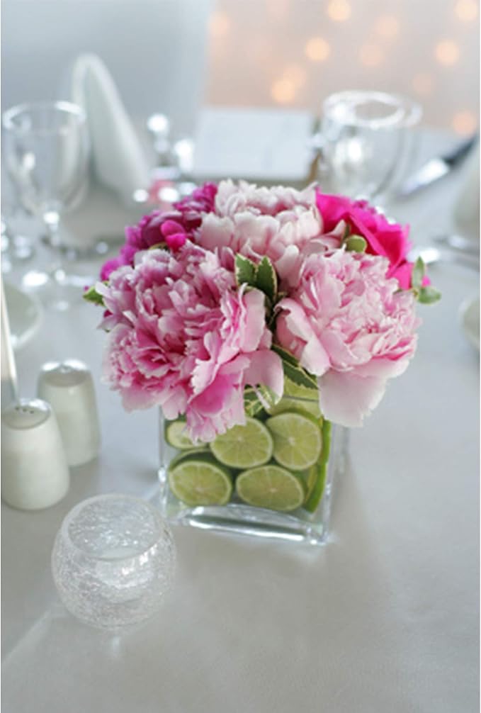 WGV Cube Glass Vase Bulk, Candle Holder, 3"x3"x3", Clear Elegant Floral Accent Container Planter Terrarium Storage for Wedding Party Ceremony Event Office Home Decor, 24 Pieces