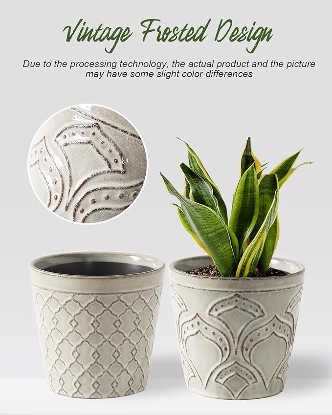 Plant Pots, Planters Pots for Indoor Plants 5.5 Inch Ceramic pots for Plant *2, Flower Pots with Drainage, Planters for Indoor Plants, Small Pots for Plant, Cement Gray