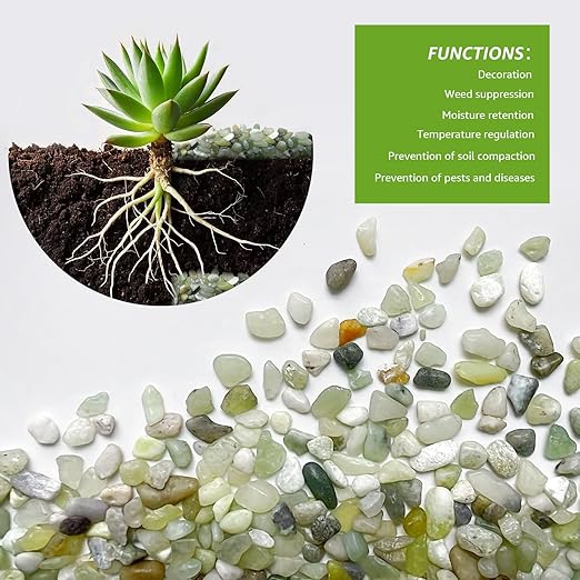 2LB Jade Succulent and Cactus Pebbles - 1/5 Inch Natural Polished Decorative Stones for Indoor Plants, Vases, Planters, and Outdoor Gardening