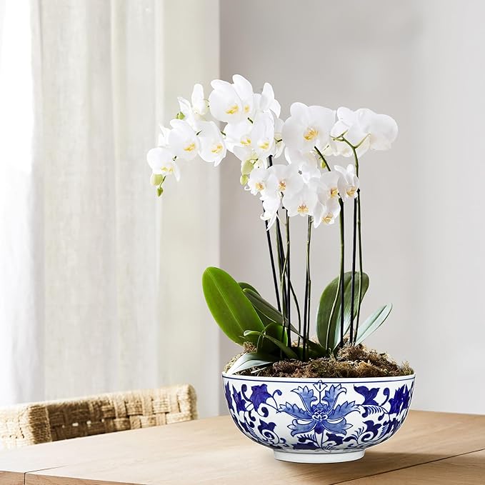 Hollyone Blue and White Vase Porcelain Planters 7 Inch Garden Bowl Modern Ceramic Pots Classic Chinese Floral Vase for Indoor Outdoor Succulents Bonsai Fairy Gardens Herbs