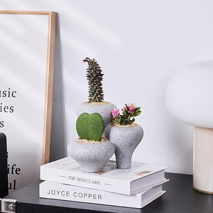 Gray Granite Textures 3-in-1 Small Succulent Pots, Mini Indoor Succulent Planters, Cute Cactus Bonsai Flowers Pots for Plants, Garden Mini Cactus Plant Pot Modern Decorative, Gift, Breathable Planter
