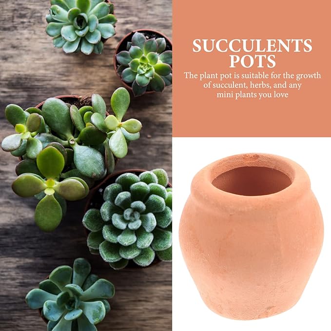 GANAZONO Mini Ceramic Planter Pots Set of 16 Small Succulent Flower Pots for Indoor Desk Balcony Garden Decor