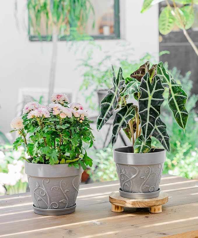 Melphoe Plant Pots Indoor with Drainage & Saucer, 2Pack 7/8 inch Flower Pots Outdoor Planters for Indoor Plants Garden Home Decor Cactus Succulent, Rigid Plastic (Imitation-Terracotta) Vine-Embossed