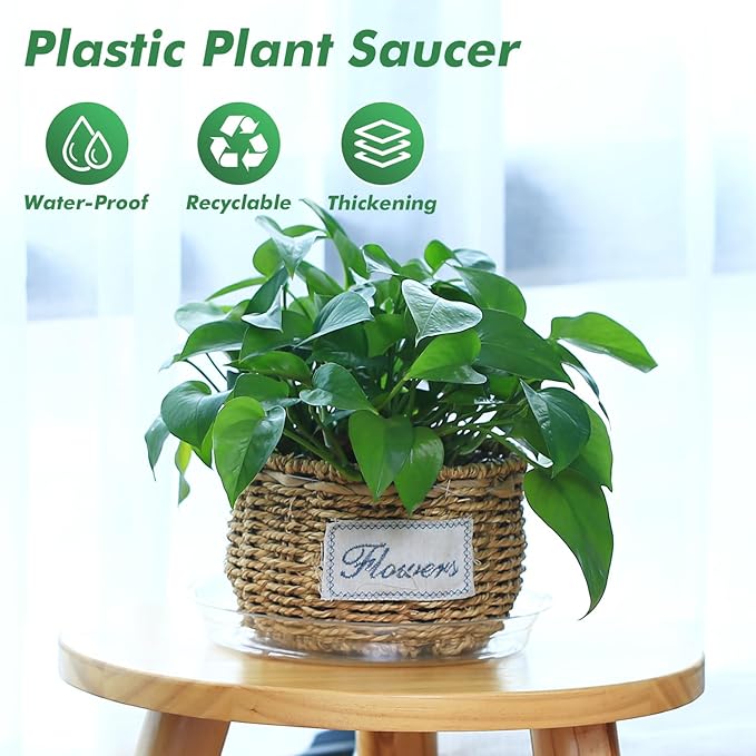 100 Pack Clear Plant Saucers for Indoors (4 6 Inch) Flower Pot Saucers for Potted Plants Plate Set Plant Trays for Indoors No Holes Plants Saucer Trays for Pots Drip Tray Plastic Tray for Succulent