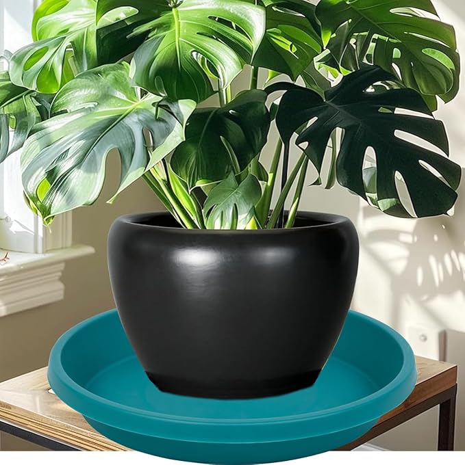 Plastic Plant Saucers 10 Inch Round Pack of 5 Heavy Duty Drip Trays for Indoor Outdoor Use