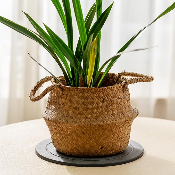 MUDEELA Diatomaceous Earth Plant Saucers for Indoor & Outdoor, 3 Pack of 12 Inches Round Plant Tray Plant Dish Pant Plate to Catch Water for Flower and Plant Pot, Instant Drying Stone Drainage Tray