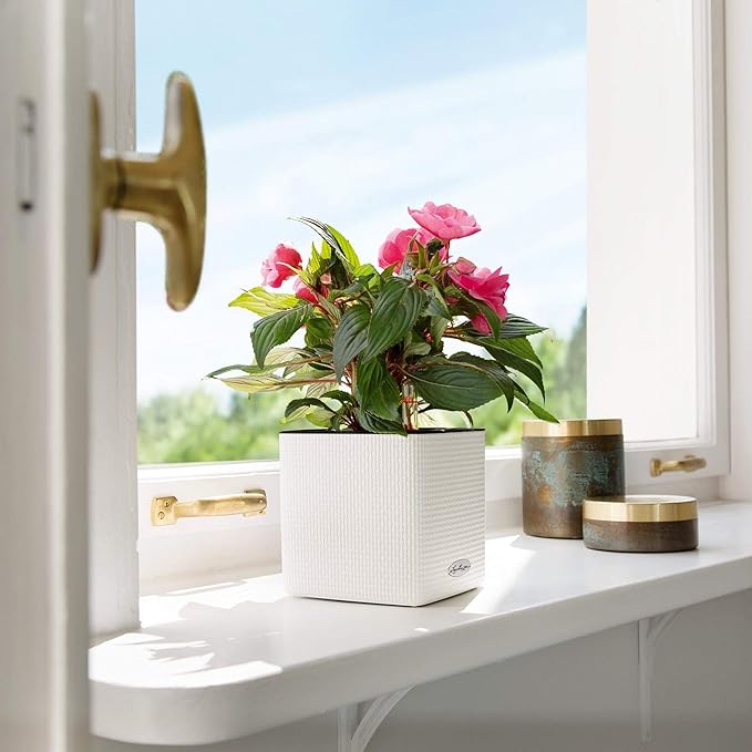 Lechuza Cube Color 16 Slate, Self-Watering Indoor Small Plant Pot, H6.3 L6.7 W6.7 in