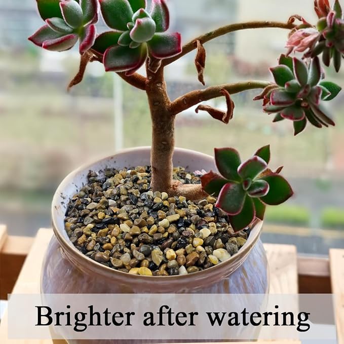 2 lbs Aquarium Gravel, 1/4 inch Pea Gravel for Fish Tank, Decorative Pebbles River Rocks for Plants Succulent Vase Indoor Water Fountains and Outdoor Landscaping