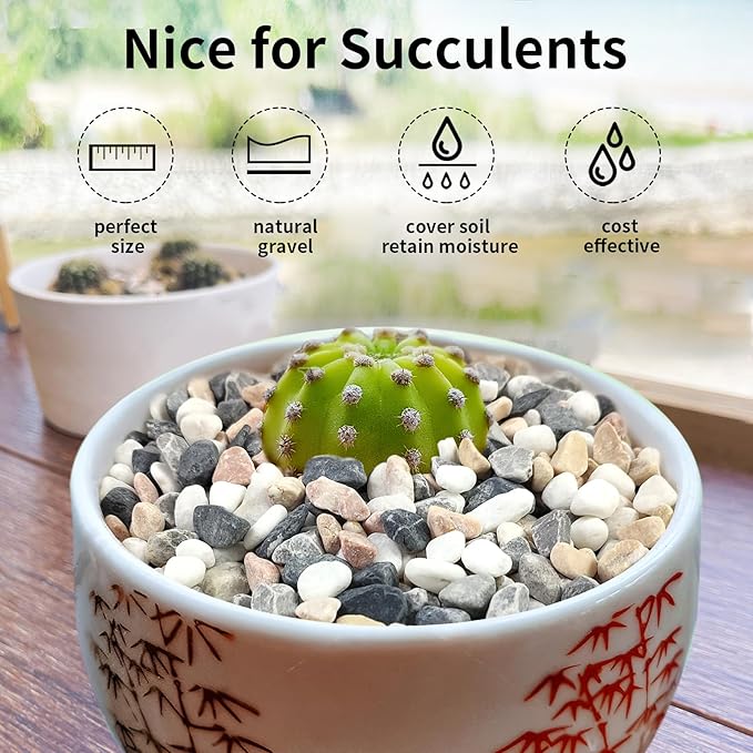 10 lbs Pebbles for Landscaping, 3/8 Inch Pea Gravel. Decorative Stones Rocks for Succulent, Cactus, Vases, Terrarium, Aquarium, Potted Top Dressing and Outdoor Garden