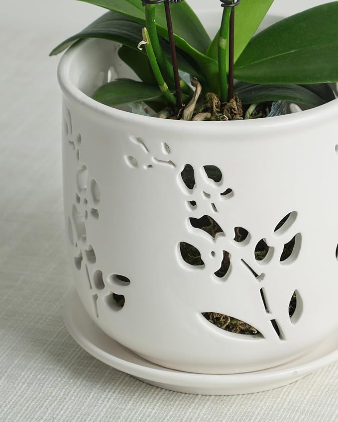 Orchid Pot, 6.5 inch Large Orchid Pots with Holes for Healthy Growth and Easy Repotting, Premium Ceramic Orchid Planter for Indoor and Outdoor Use, (Note : Plant Not Included)