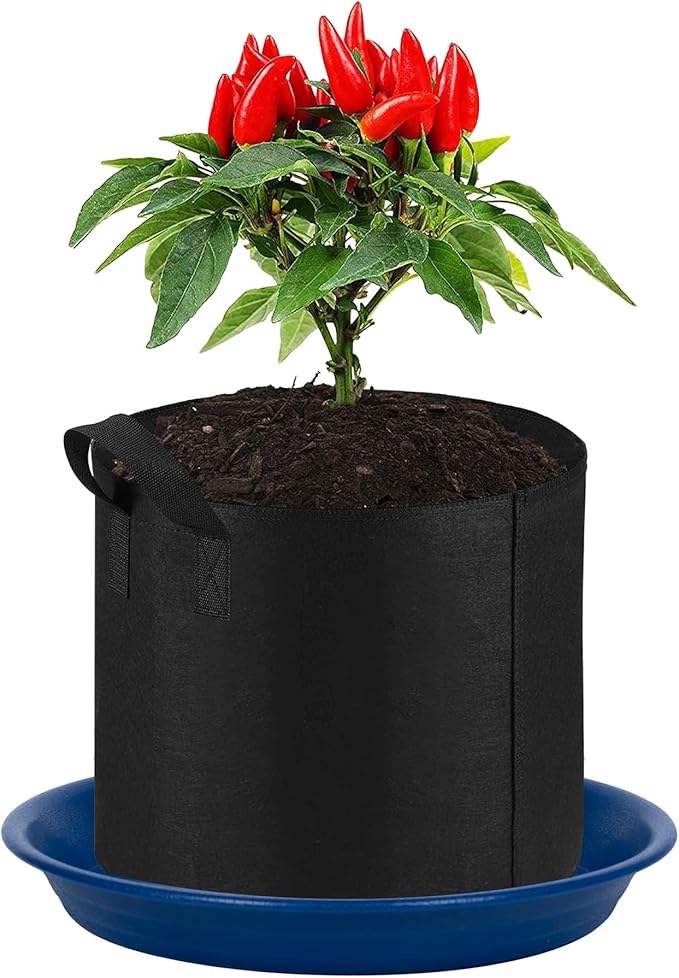 2 Pack Plant Saucer Drip Tray 11 12 inch, Pot Base for Plants Indoor, Plastic Flower Planter Saucers and Drip Trays for Outdoors, Heavy Durable Plant Plate Water Catcher (12", Blue)